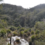Jackson Bay