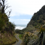 Jackson Bay