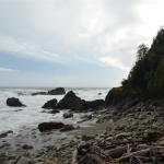 Jackson Bay