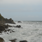 Jackson Bay