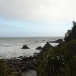 Jackson Bay