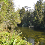 Ellery River