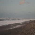 Gillespes Beach