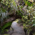 Porarari River