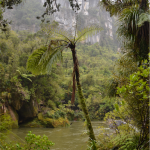 Porarari River