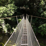 Wanui Falls