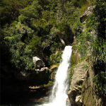 Wanui Falls
