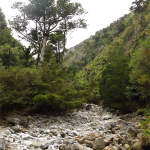 Takaka Cave