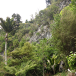 Takaka Cave