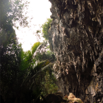 Takaka Cave