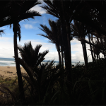 Heaphy Track