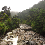 Heaphy Track