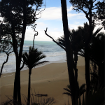 Heaphy Track