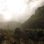 Heaphy Track