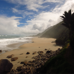 Heaphy Track