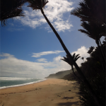 Heaphy Track