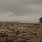 Heaphy Track