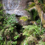 Heaphy Track