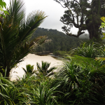 Heaphy Track