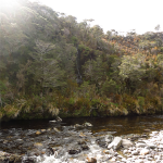 Heaphy Track