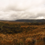 Heaphy Track