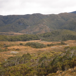 Heaphy Track