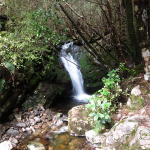 Heaphy Track