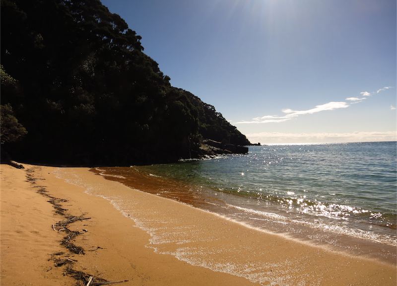 Abel Tasman Track