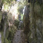 Grove Scenic Reserve