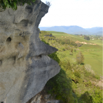 Grove Scenic Reserve