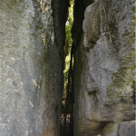 Grove Scenic Reserve