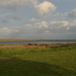 Mahia Campground