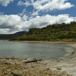 Lake Waikaremoana