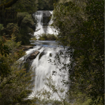 Lake Waikaremoana