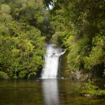 Lake Waikaremoana