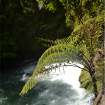 Orere Falls