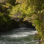 Orere Falls