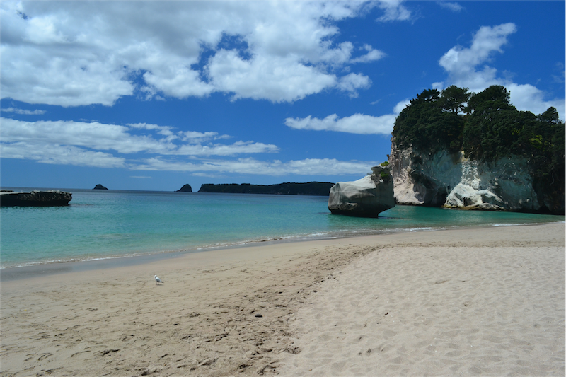 Cathedral Cove