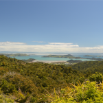 Coromandel